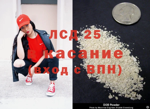 спайс Каменка