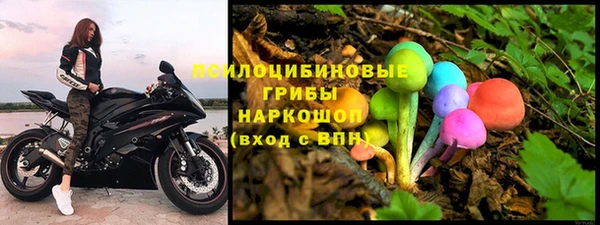 2c-b Алзамай