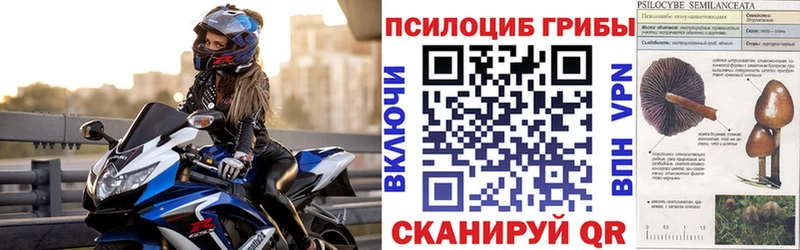 Галлюциногенные грибы Psilocybe хочу Петропавловск-Камчатский