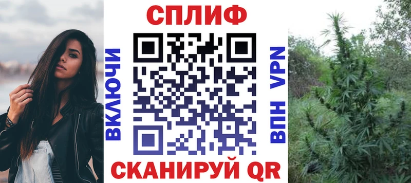 Конопля OG Kush  hydra ССЫЛКА  Петропавловск-Камчатский 